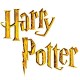 ‌‌Harry Potter